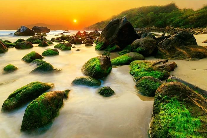 Khám Phá Rạn Nam Ô: Một Vùng Biển Tuyệt Vời Cùng Sea Light Hotel